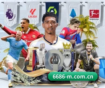 6686体育APP APP - 6686.com