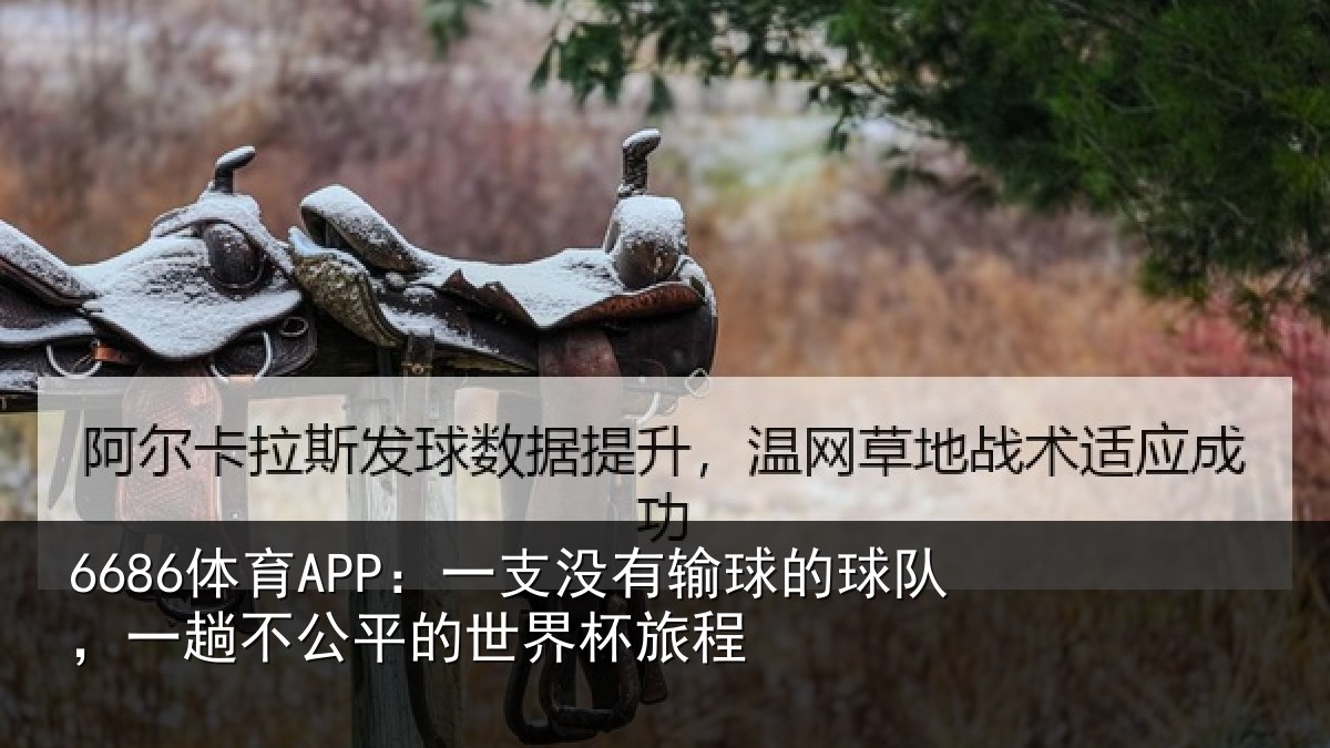 6686体育APP：一支没有输球的球队，一趟不公平的世界杯旅程