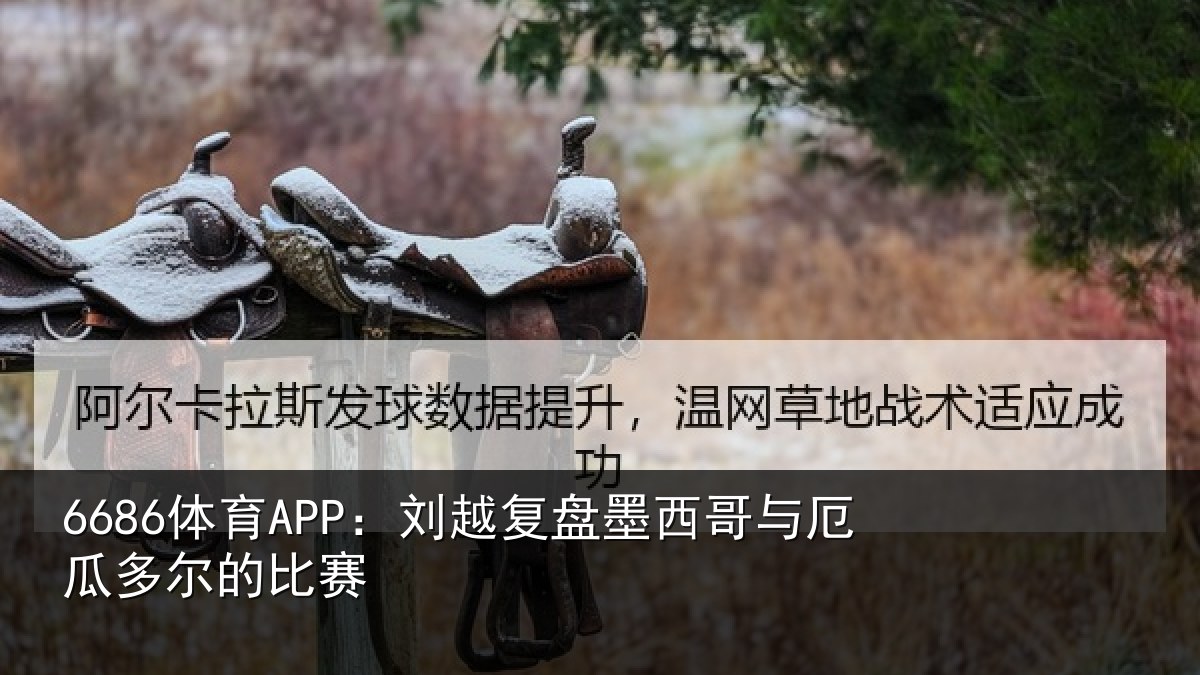 6686体育APP：刘越复盘墨西哥与厄瓜多尔的比赛